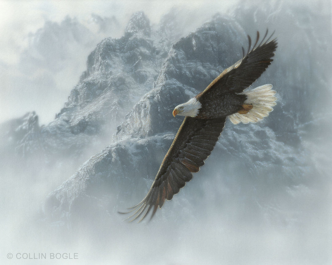 Sacred Ascent Bald Eagle Flying Painting Art Print by Collin Bogle