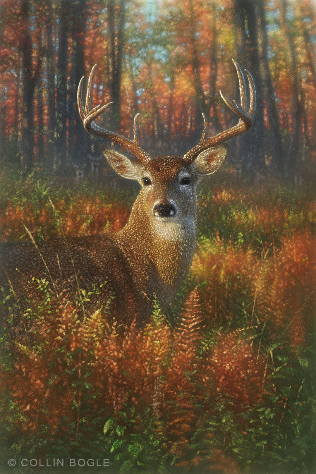 Autumn Buck Painting Art Print by Collin Bogle