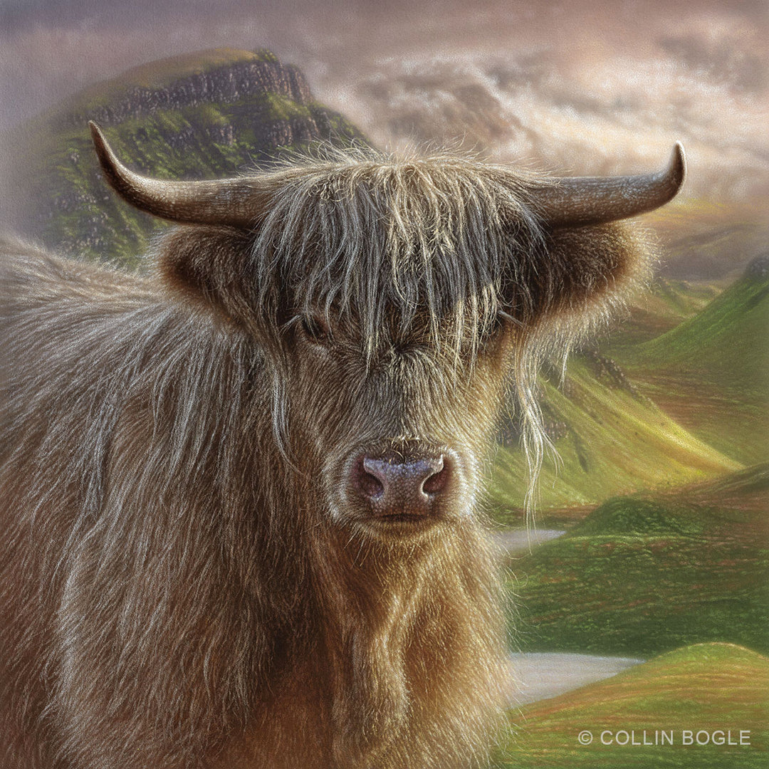 Butterscotch - Highland Cow Original Painting by Collin Bogle
