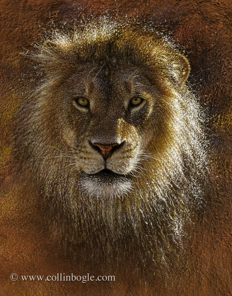 Lion portrait painting art print by Collin Bogle.