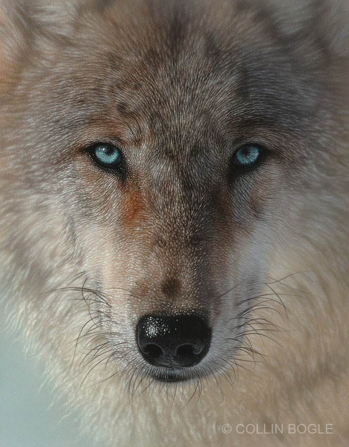 Inner Wolf Pack