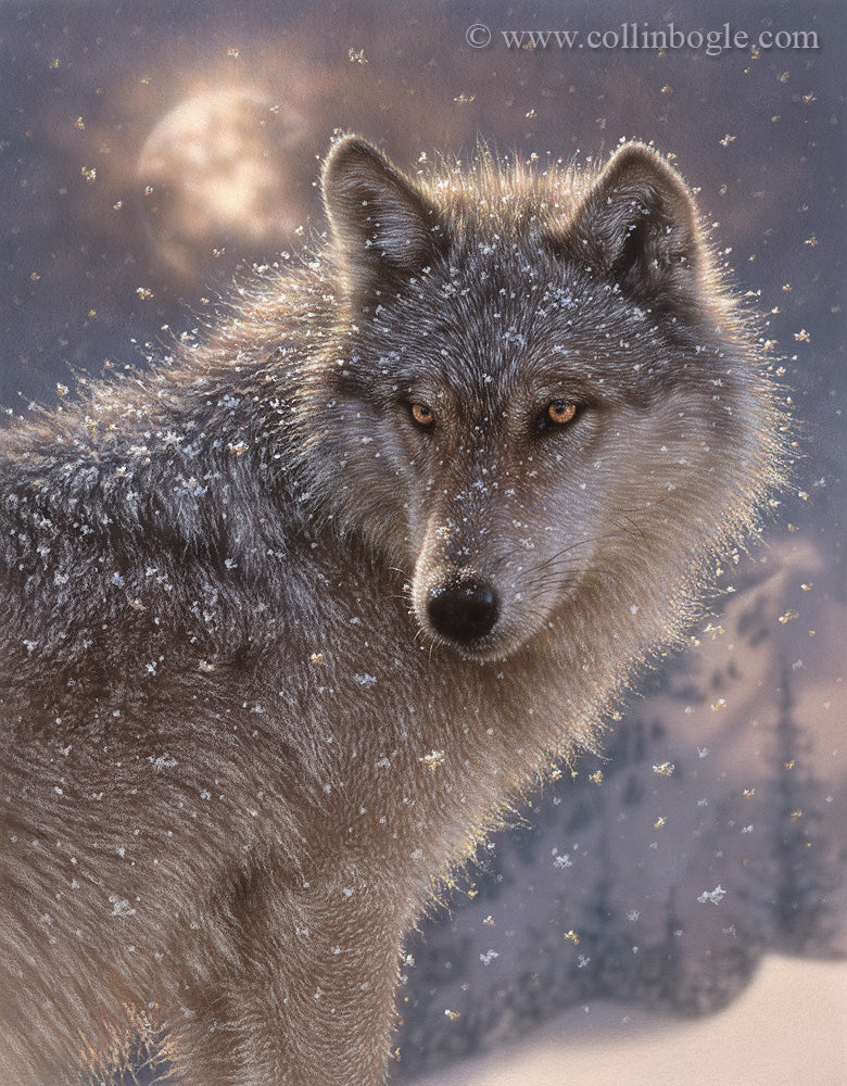 Lone wolf with mountains and full moon painting art print by Collin Bogle.