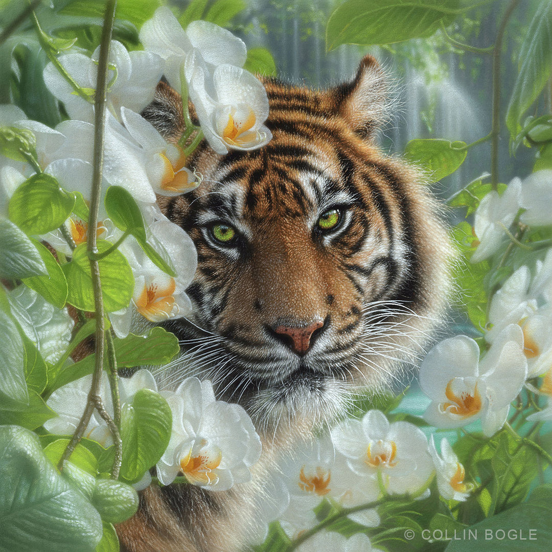 Orchid Haven - Tiger Painting Art Print by Collin Bogle.