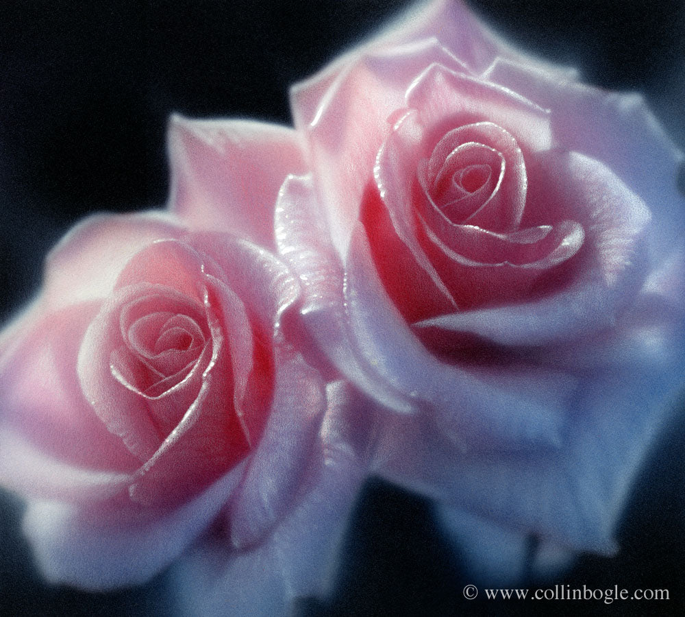 Pink roses painting art print by Collin Bogle.