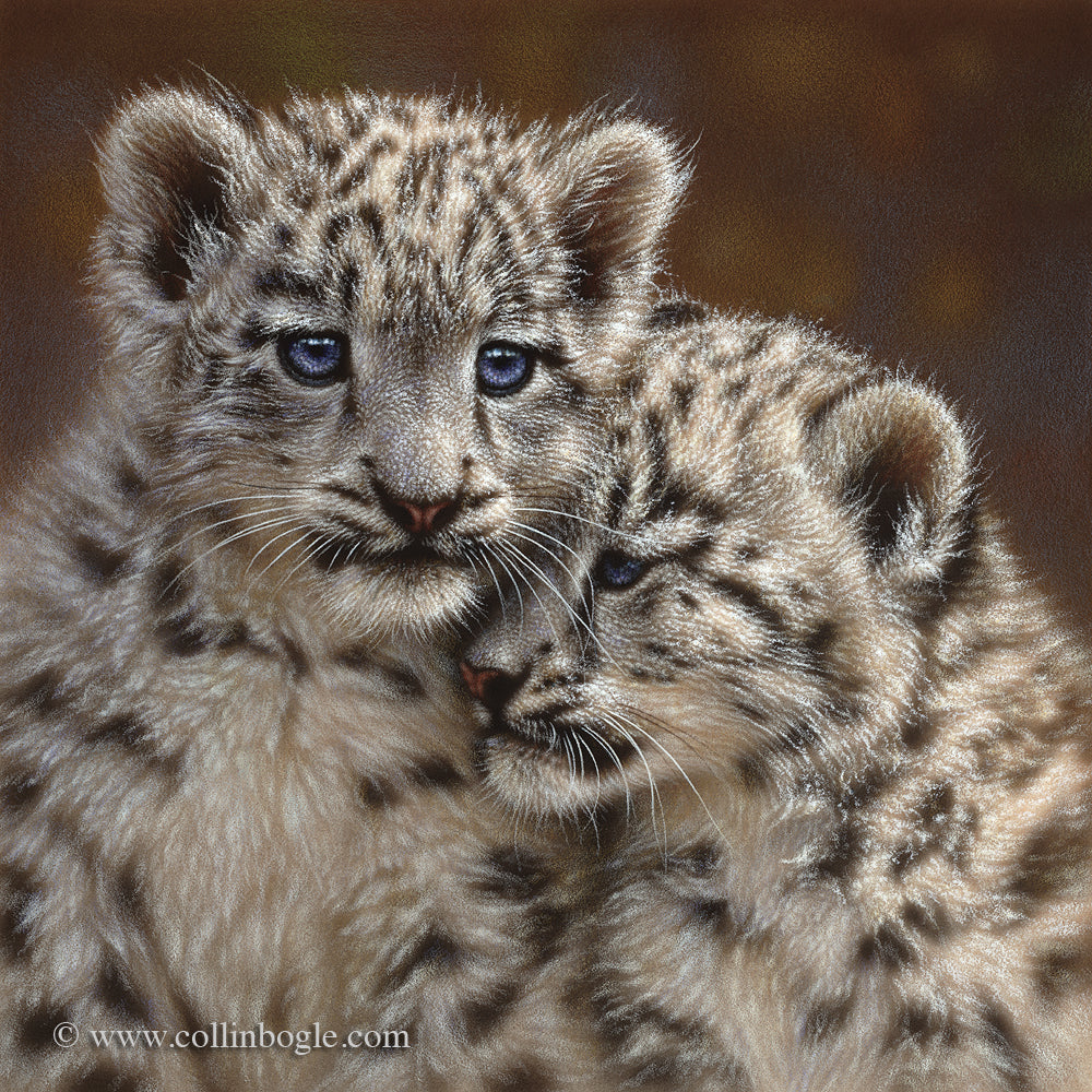 Snow leopard cubs painting art print by Collin Bogle.