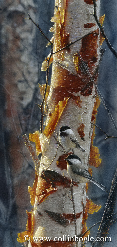 Black-capped chickadees painting art print by Collin Bogle.