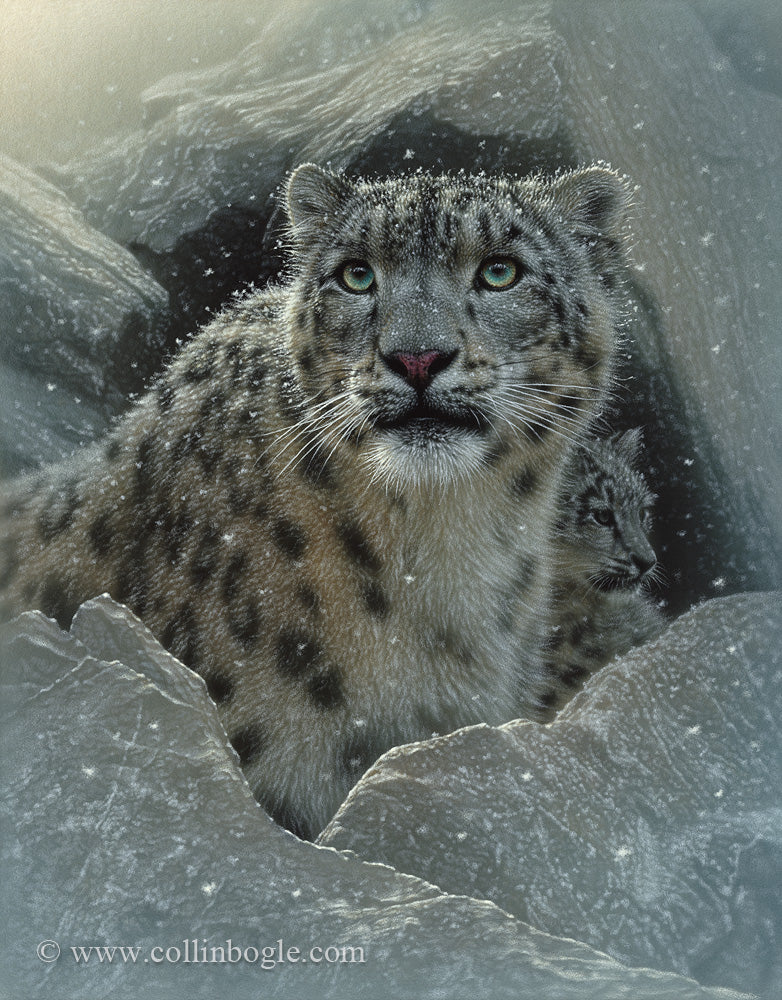 Snow leopard mother and cub in mountain rocks painting art print.