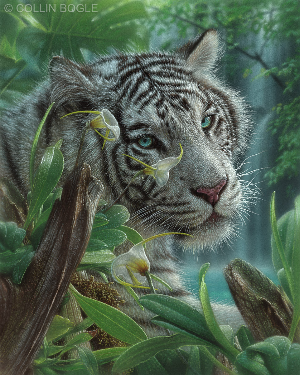 White Tiger of Eden