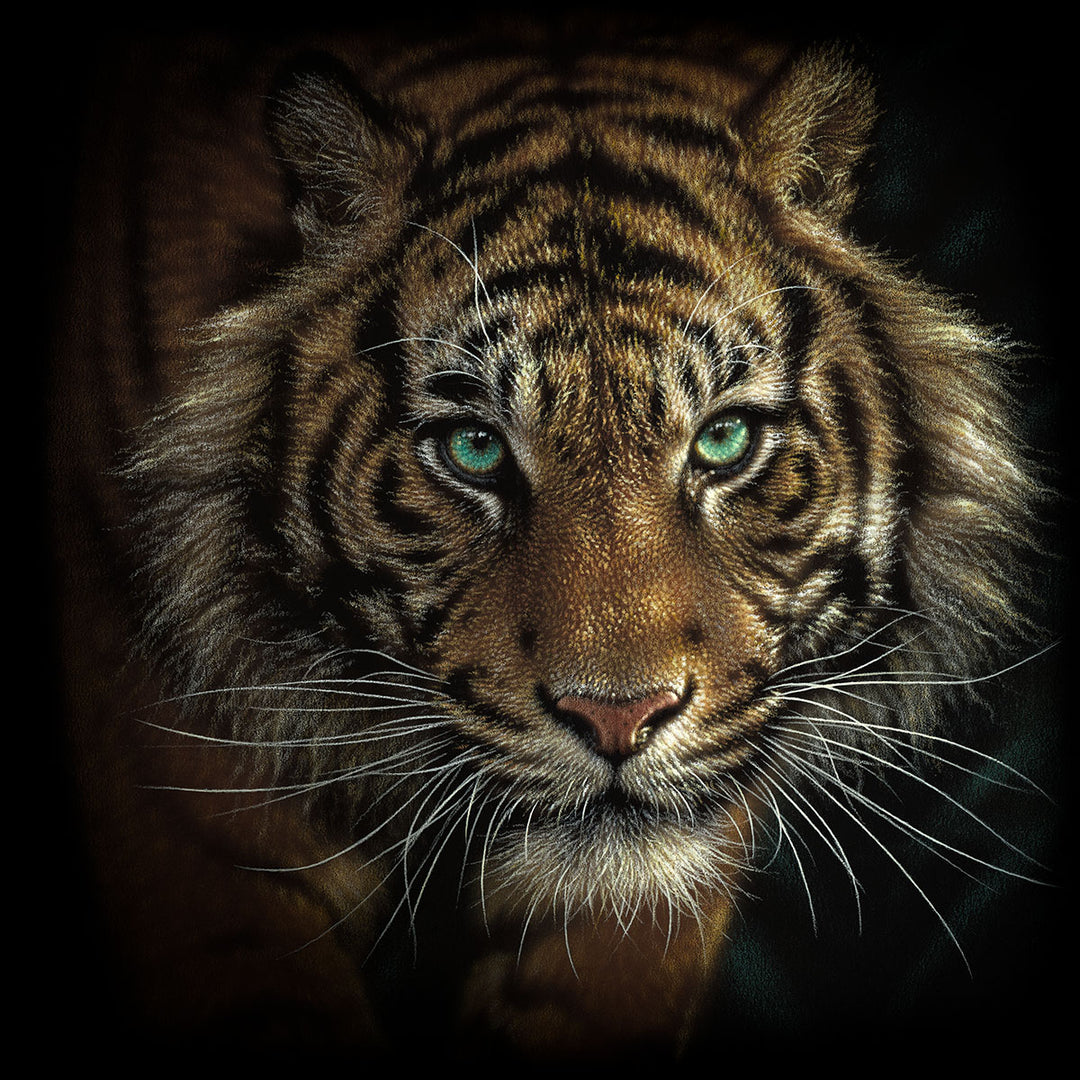 Eye of the Tiger by Collin Bogle