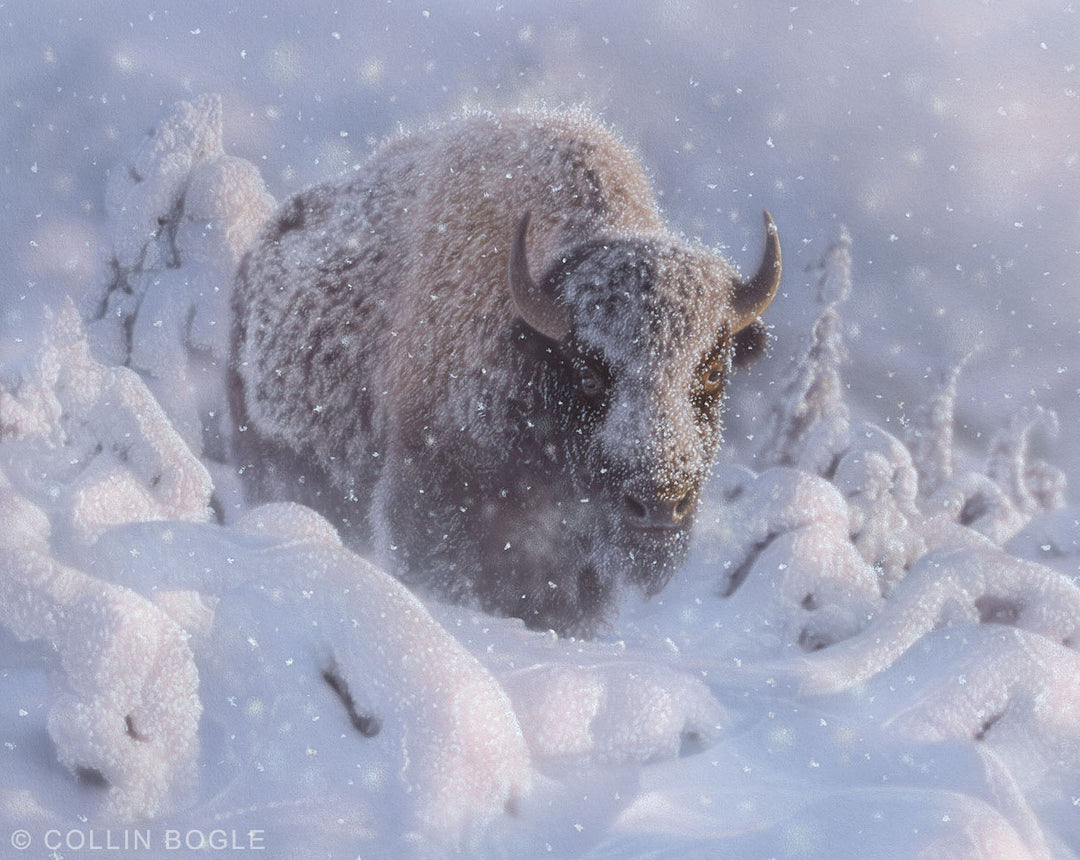 In Deep - Winter Bison Original Painting by Collin Bogle