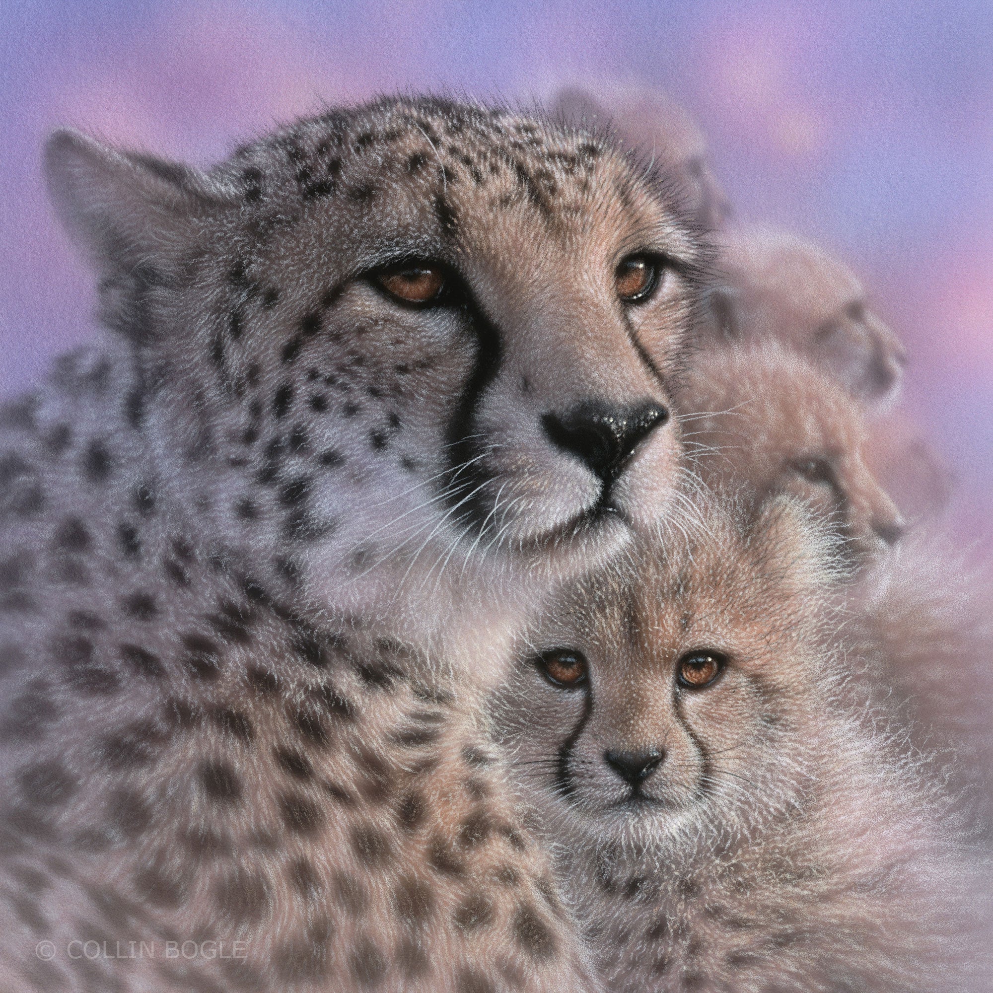 Mother's Love - Cheetah mother and cubs painting art print by Collin Bogle.