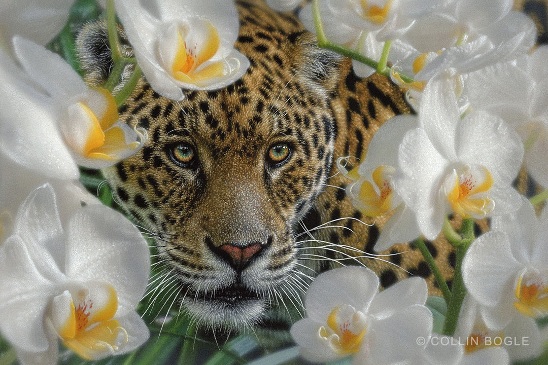 Orchid Oasis Jaguar Painting Art Print by Collin Bogle.