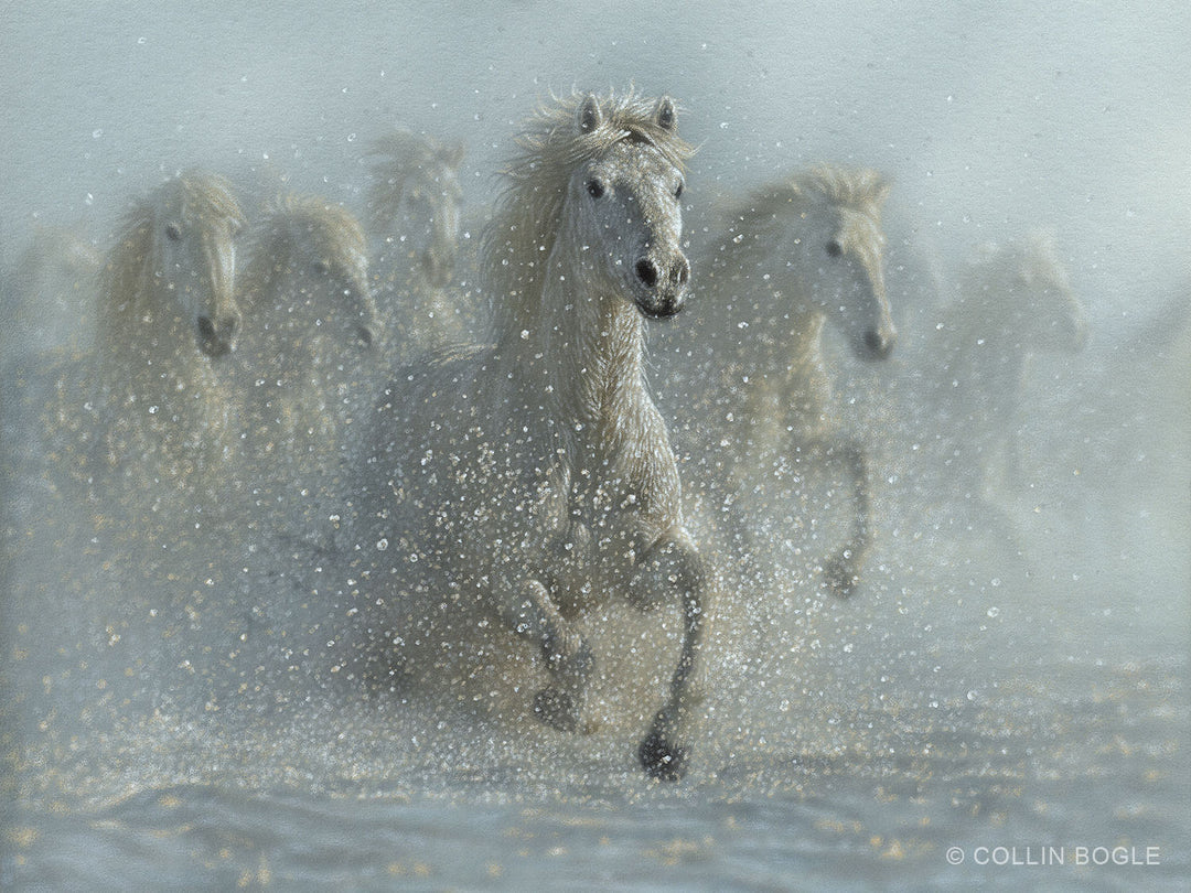 Running Wild - White Horses painting art print by Collin Bogle