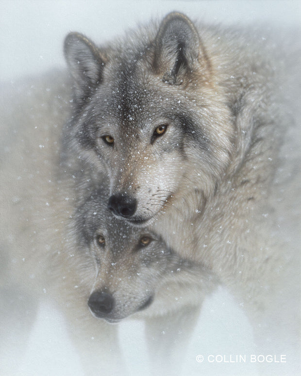 Wild Devotion - Gray Wolves painting art print by Collin Bogle
