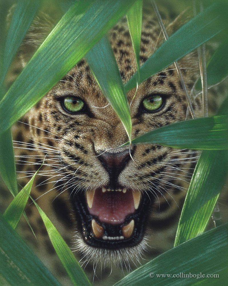 jaguar in bamboo painting art print by Collin Bogle.