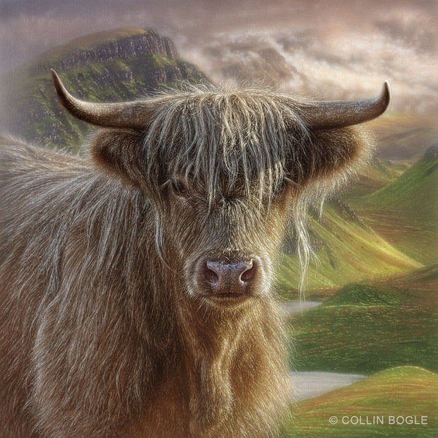 Butterscotch - Highland Cow Painting Art Print by Collin Bogle