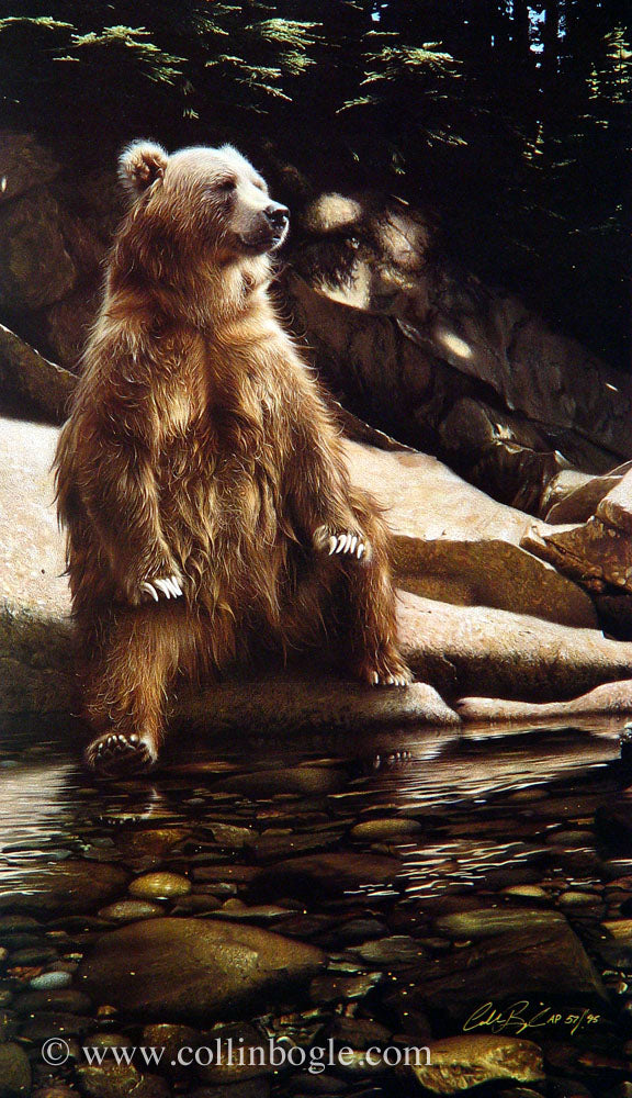 Cool Foot - Bear, Hand Signed Limited Edition by Collin Bogle – Collin ...