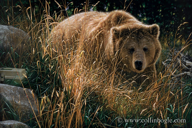 Brown bear painting art print by Collin Bogle.