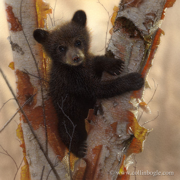 Black bear cub painting art print by Collin Bogle.