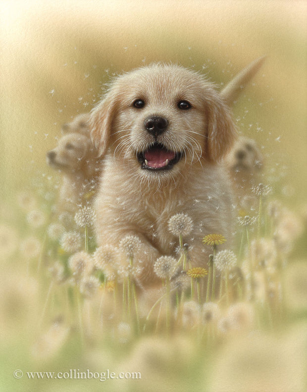 Golden retriever puppy running in dandelions painting art print.