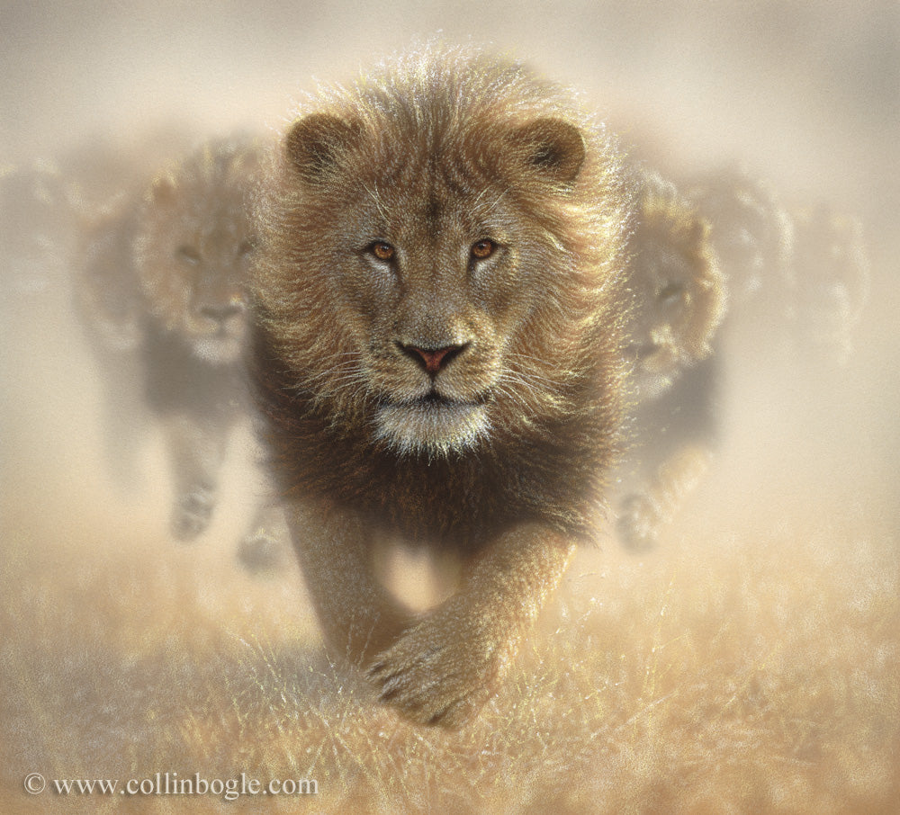 Running lions painting art print by Collin Bogle.