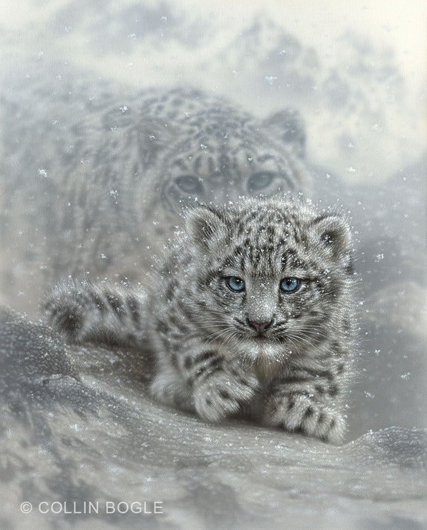 First Steps - Snow Leopard Cub Painting Art Print by Collin Bogle