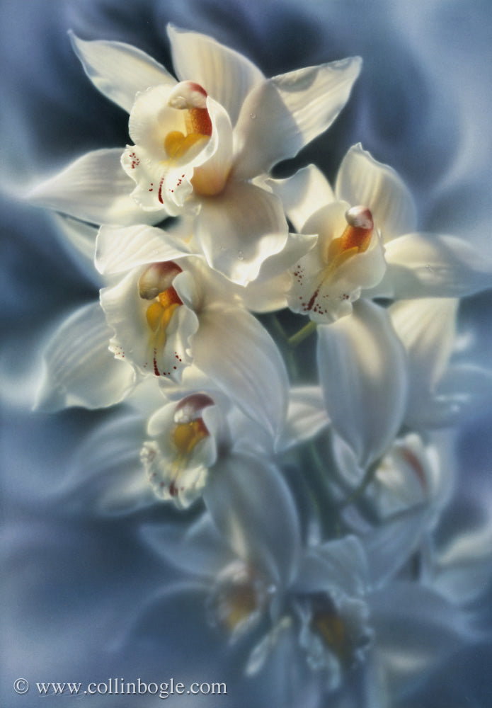 Orchids painting art print by Collin Bogle.
