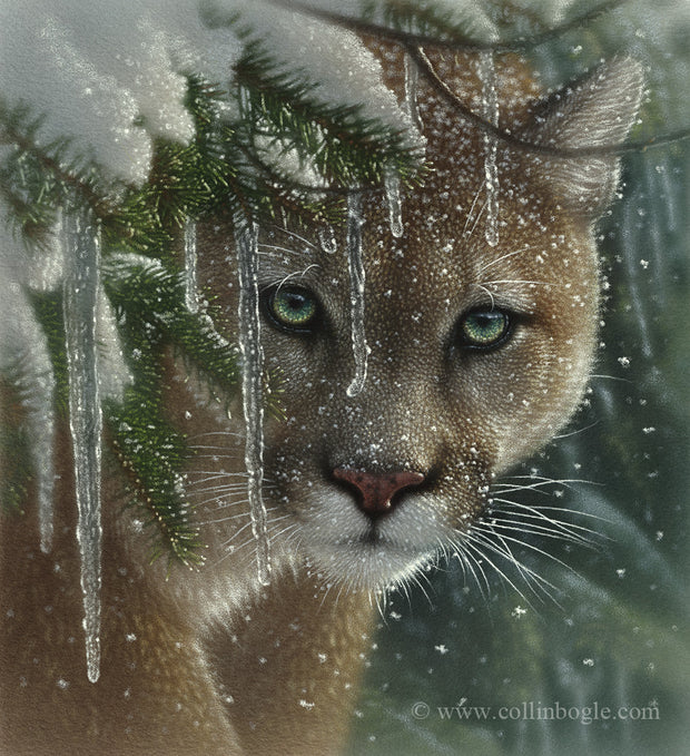 Cougar in ice and snow covered branches painting art print.