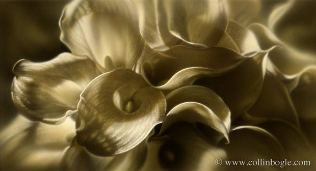 Calla lily painting art print by Collin Bogle.