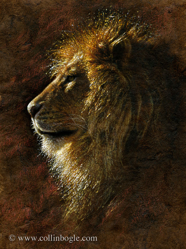 Lion portrait painting art print by Collin Bogle.