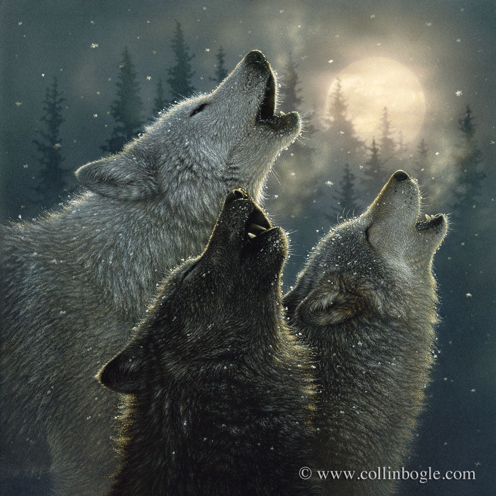 Three wolves howling at a full moon painting art print by Collin Bogle.