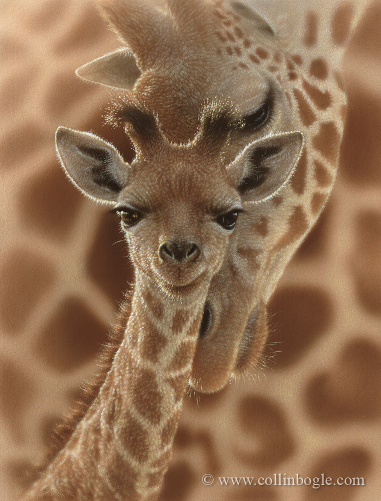 Baby giraffe with mother painting art print by Collin Bogle.