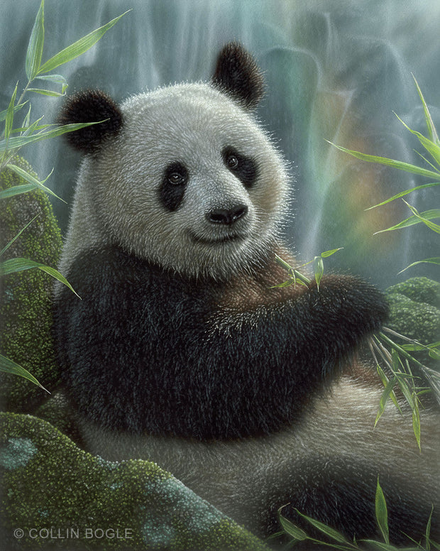 Panda Paradise Painting Art Print by Collin Bogle