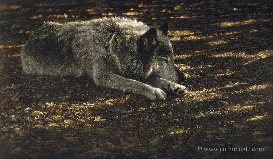 Collin Bogle Wolves Wolf Art Prints, Wolf Paintings, Wolves Artist Collin Bogle – Collin ...