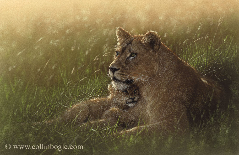 Lion mother and cub painting art print by Collin Bogle.
