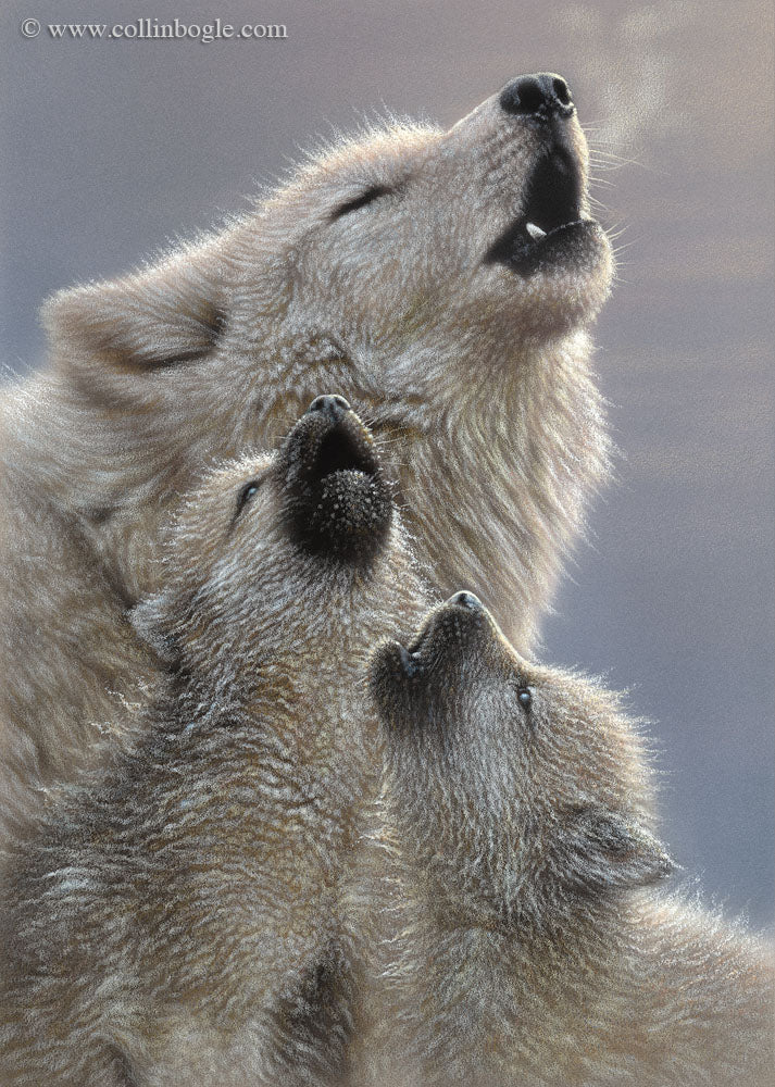 Wolf mother and pups howling painting art print by Collin Bogle.