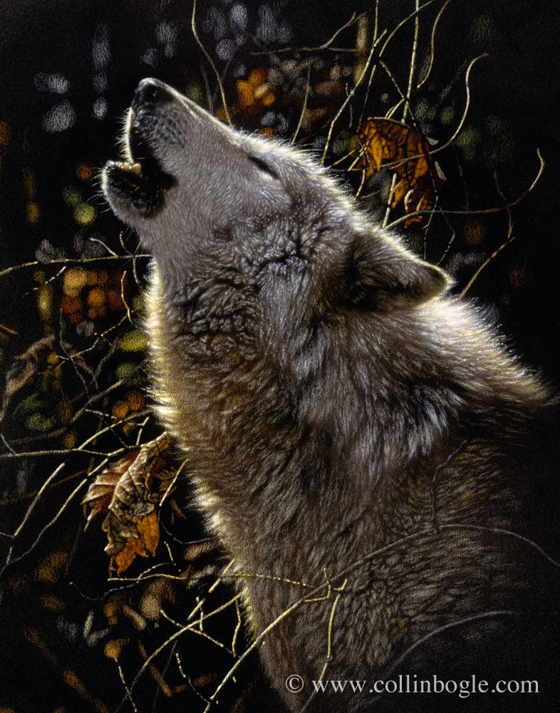 Wolf howling painting art print by Collin Bogle.