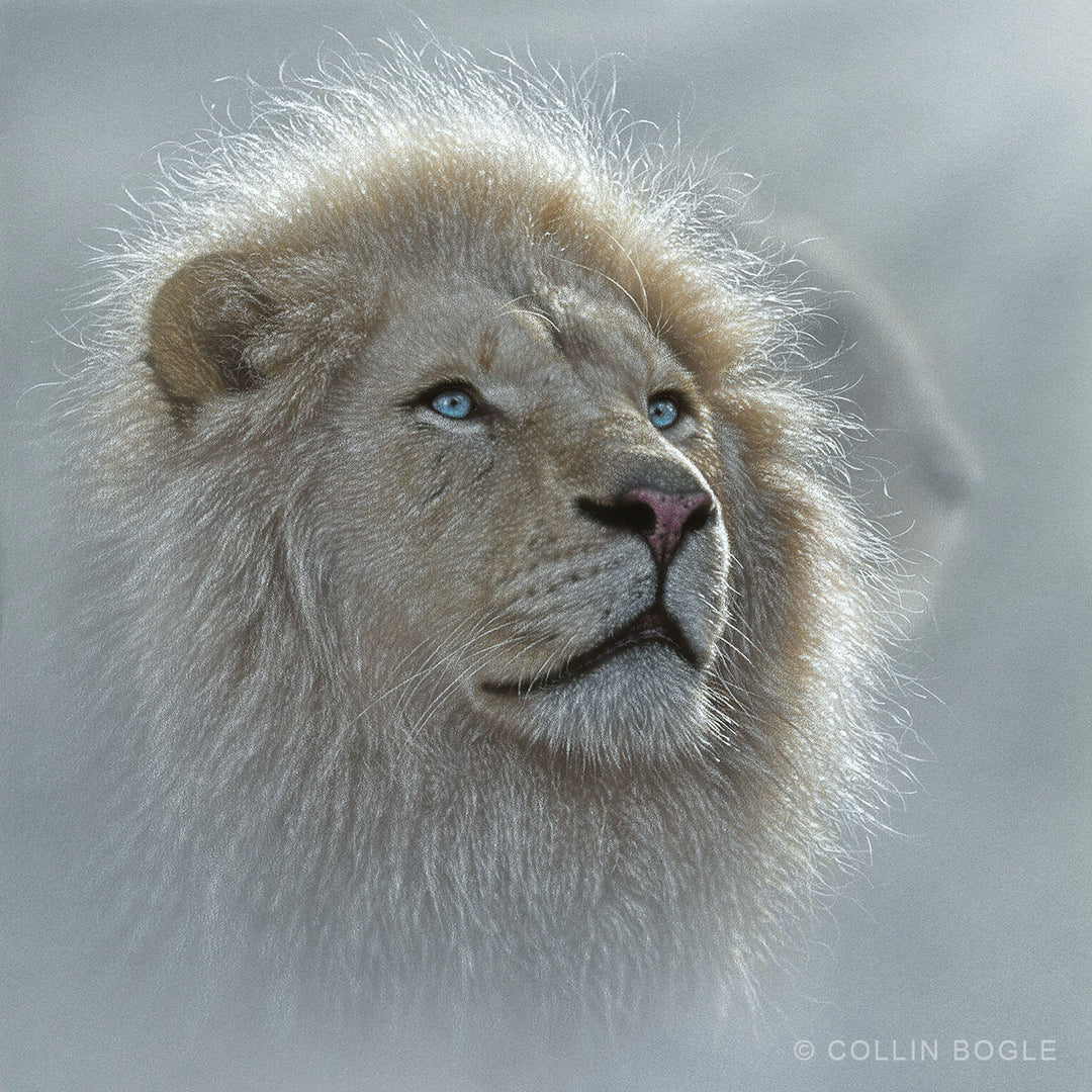 White Lion Portrait Original Painting
