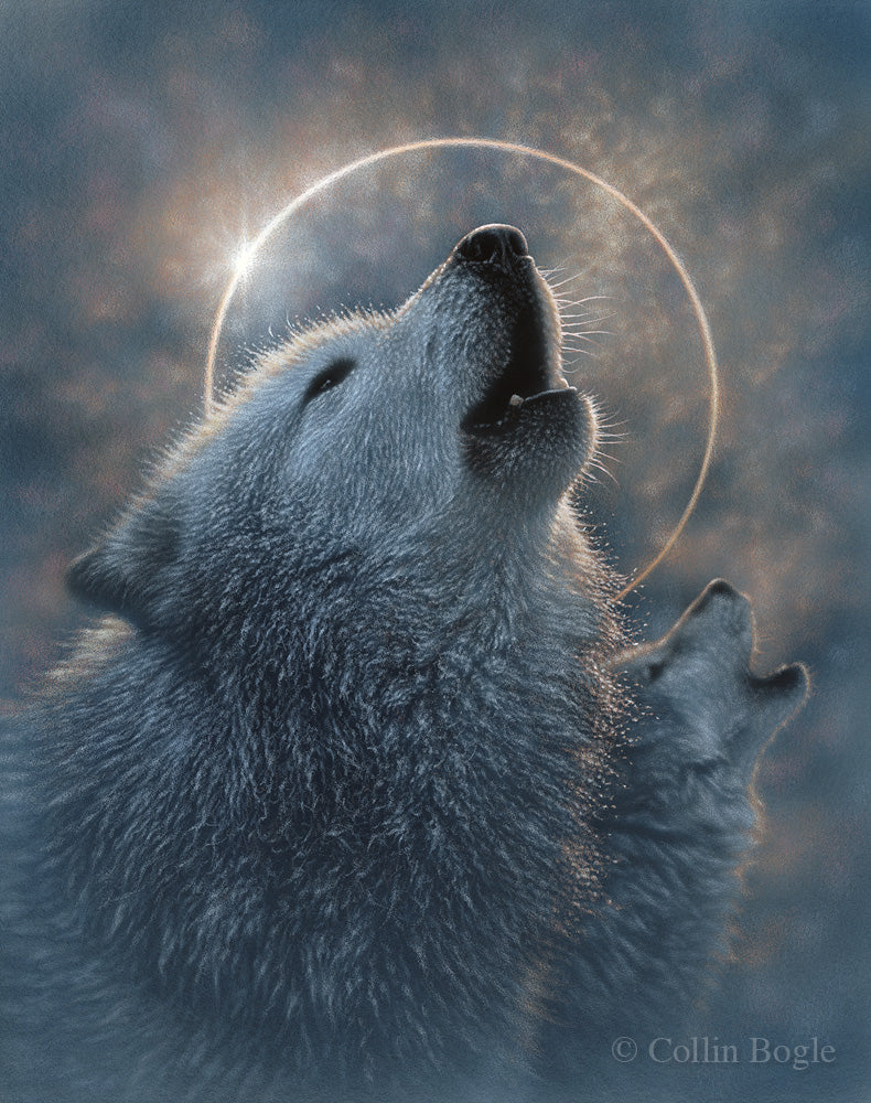 Collin Bogle Wolves Wolf Art Prints, Wolf Paintings, Wolves Artist Collin Bogle – Collin ...