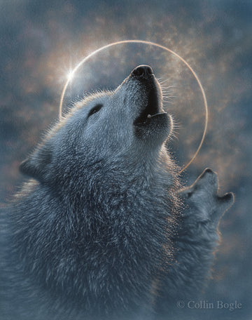 Wolf Art Prints, Wolf Paintings, Wolves Artist Collin Bogle – Collin ...