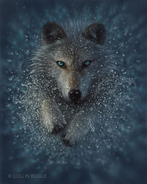 Wolf Splash