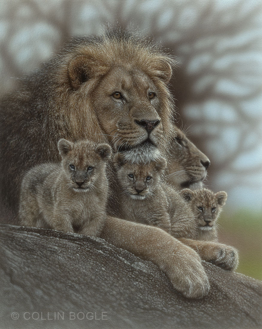 Lion family painting art print by Collin Bogle.